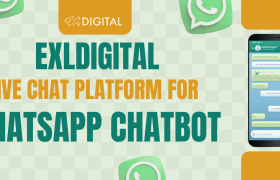 Live Chat: WhatsApp Shared Team Inbox for Support