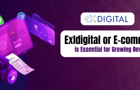 Maximizing Revenue with Exldigital E-commerce The Future of Online Retail